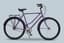 Purple bike reference