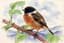 Bird illustration style reference