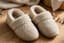 Slippers reference