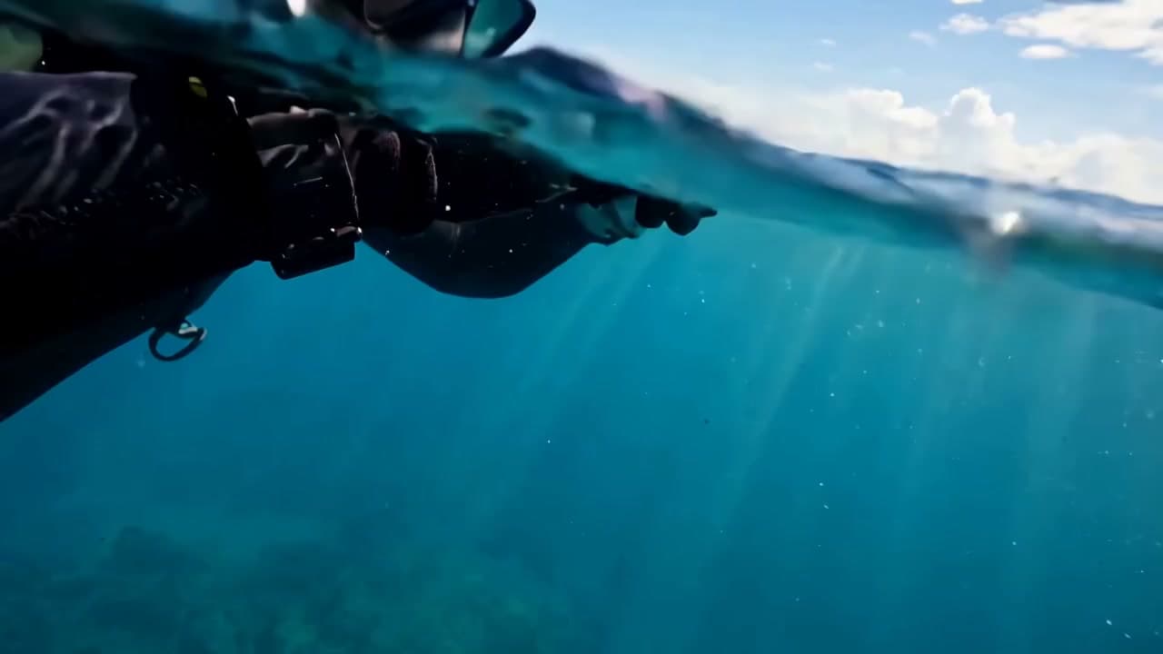 Muse Video sample frame